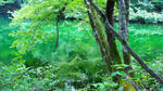 DSC00927.jpg