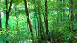 DSC00914.jpg