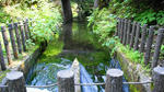 DSC00902.jpg