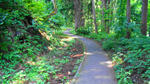 DSC00898.jpg