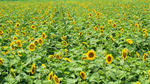 DSC00893.jpg