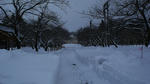 DSC01599.JPG