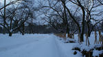 DSC01597.JPG