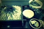 FxCam_1364273334643.jpg