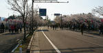 a3036a8f.jpeg