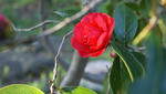 DSC01640.JPG