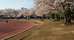 DSC01620.JPG
