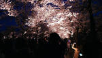 DSC01678.JPG