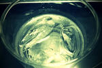 FxCam_1370261457805.jpg