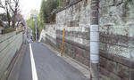 CA390042.jpg