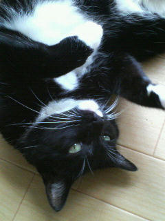 200807161130000.jpg