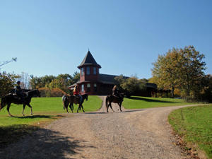 PA112240.jpg