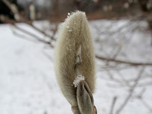 PC202342.jpg