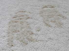DSCF0576.jpg