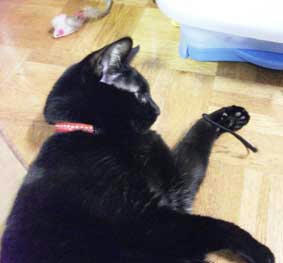 2010.04.30.jpg