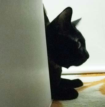 2010.05.12-2.jpg