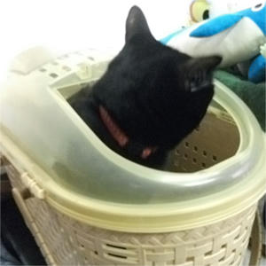 2011.01.25-03.jpg