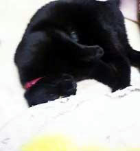 2011.05.08.jpg