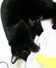 2011.05.08-01.jpg