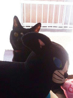 2012.12.12-02.jpg