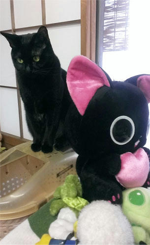2013.01.04-01.jpg