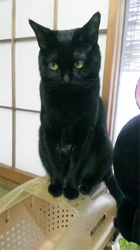 2013.01.04-02jpg.jpg