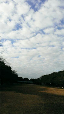 2013.01.05-04jpg.jpg