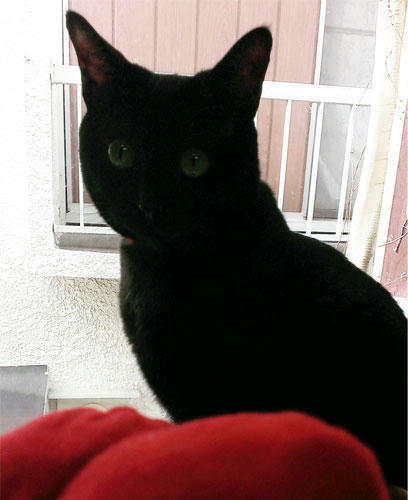 2013.01.09-01jpg.jpg