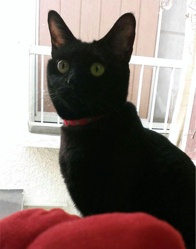 2013.01.09-02jpg.jpg