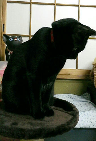 2013.01.12.jpg