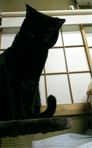 2013.01.12-01jpg.jpg