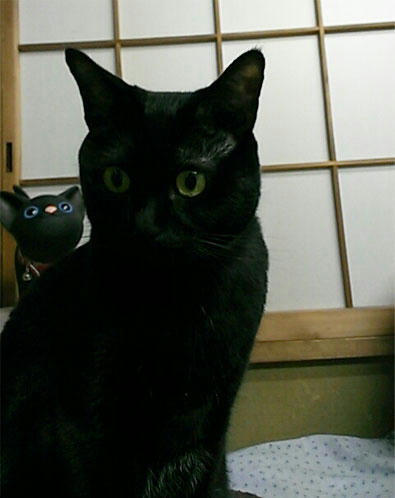 2013.01.12-02.jpg