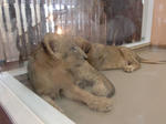 CIMG0260.JPG