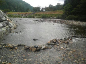 P1000030_R.jpg