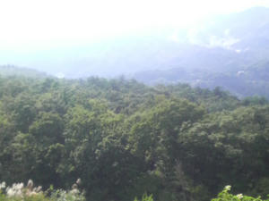 P1000037.JPG