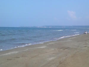 P1000039.JPG