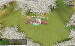 aura_celemony2