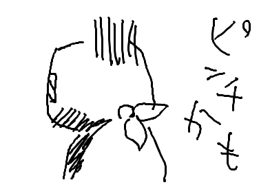 fimg_1238169386.png