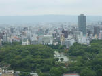 P8220127.JPG
