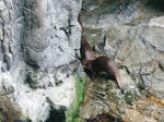 DH000005.JPG