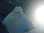 DH000001.JPG