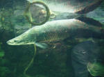 DH000025.JPG