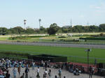 PA110110.JPG