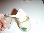 PB070041.JPG