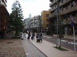 PB140055.JPG