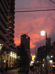 PB140079.JPG