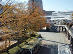 PB230091.JPG