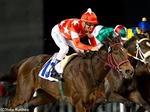 20100305-00000000-kiba-horse-view-000.jpg