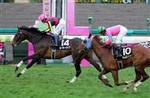 20100308-00000502-sanspo-horse-thum-000.jpg