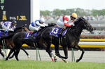 20100509-00000531-sanspo-horse-view-000.jpg